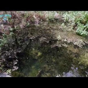 Видео - Адское ущелье Инфьерно в Адехе на Тенерифе