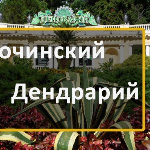 Видео - Сочинский дендрарий в Сочи, юг России