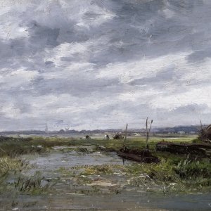 Картина - Болота (Нидерланды), 1884