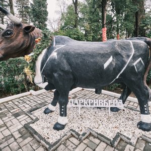 Фото - Скульптура быка в Парке Ривьера в Сочи