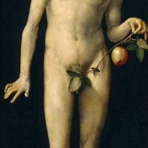 Картина Адам, 1507 - Музей Прадо