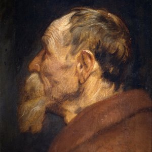 Картина №2 - Голова старика, 1618 - 1620