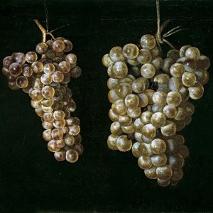 Картина №1 - Две грозди винограда - Музей Прадо