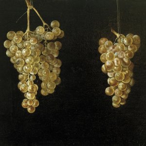 Картина №2 - Две грозди винограда с мухой