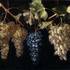 Картина Четыре грозди винограда - Музей Прадо