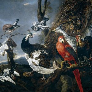 Картина Птичий концерт, 1661 - Музей Прадо