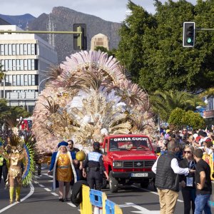 Фотография - Карнавал на Тенерифе в 2019 году - № 19