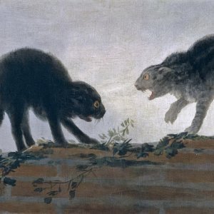 Картина - Драка котов, 1786 - Музей Прадо