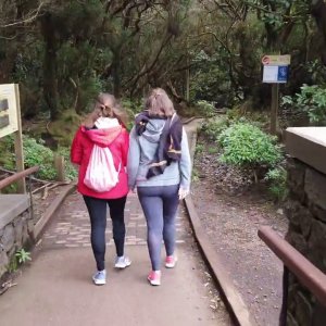 Видео - Лавровый лес в горах Анага на Тенерифе