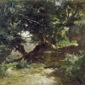 Картина - Горная дорога в Астурии, 1874