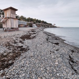 Фото №2 - Пляж ДОЛ «Нива» в Геленджике