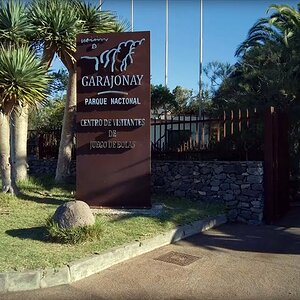 Видео - «Хуэго де Болас» - туристический центр на Ла-Гомера