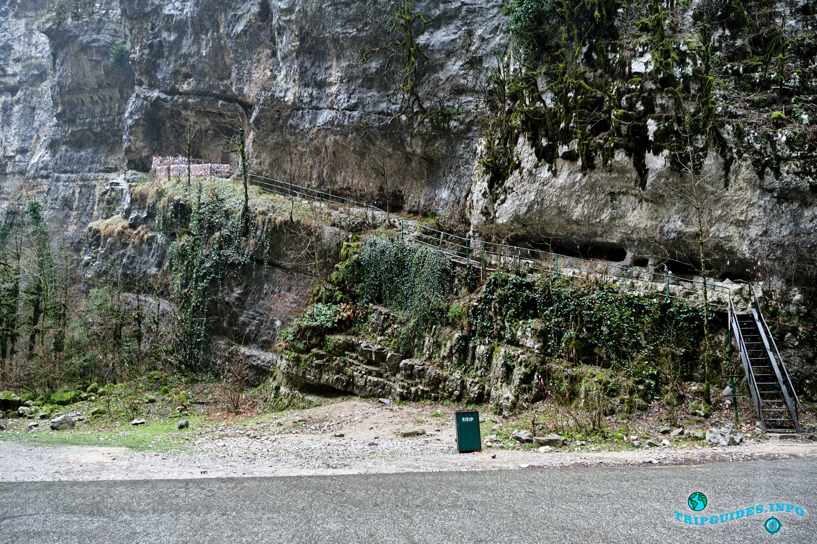 Фото №6 - Юпшарское ущелье в Абхазии