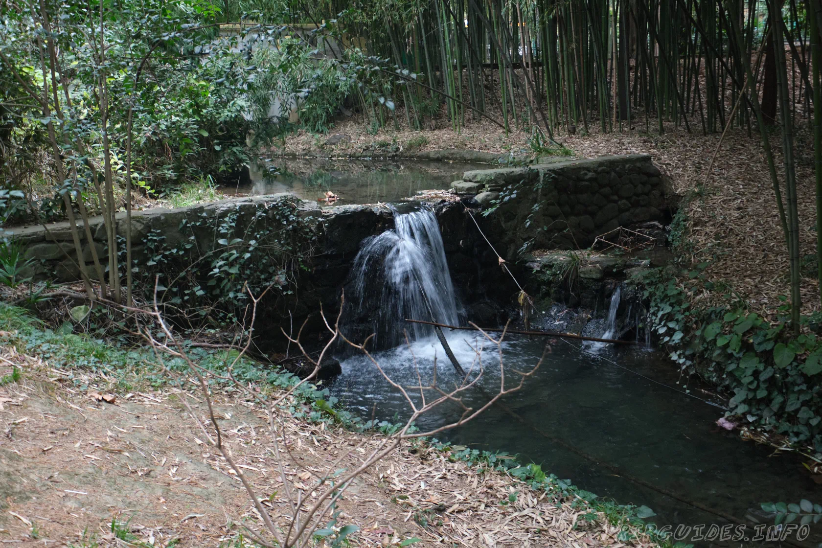 Фото - Водопад в парке Дендрарии Сочи
