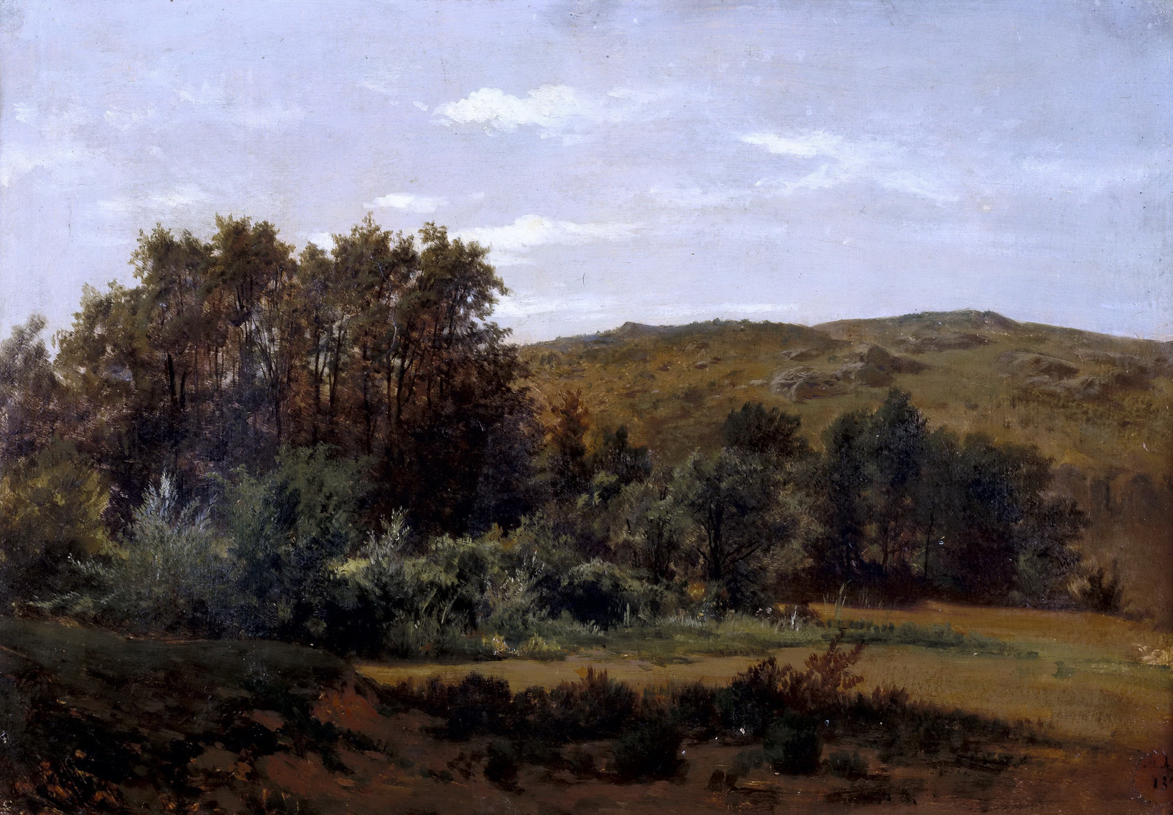 Картина - Арболеда, 1856