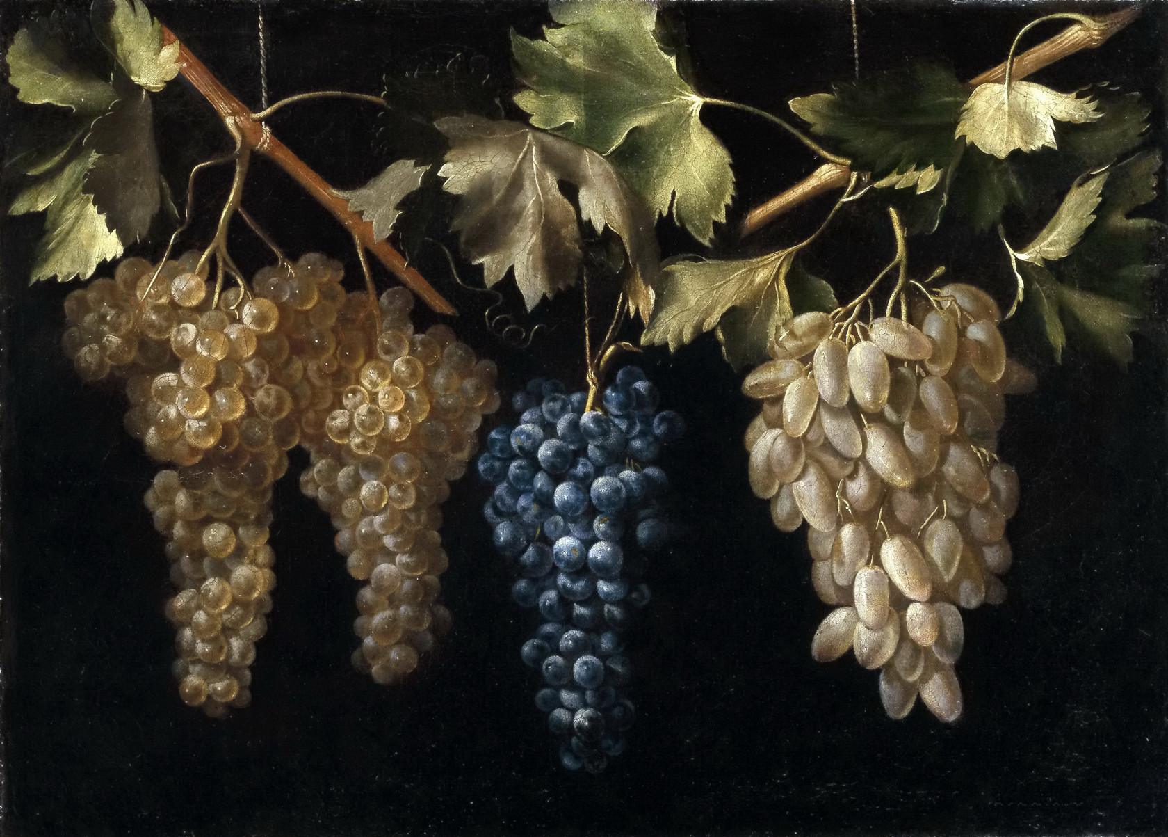 Картина Четыре грозди винограда - Музей Прадо