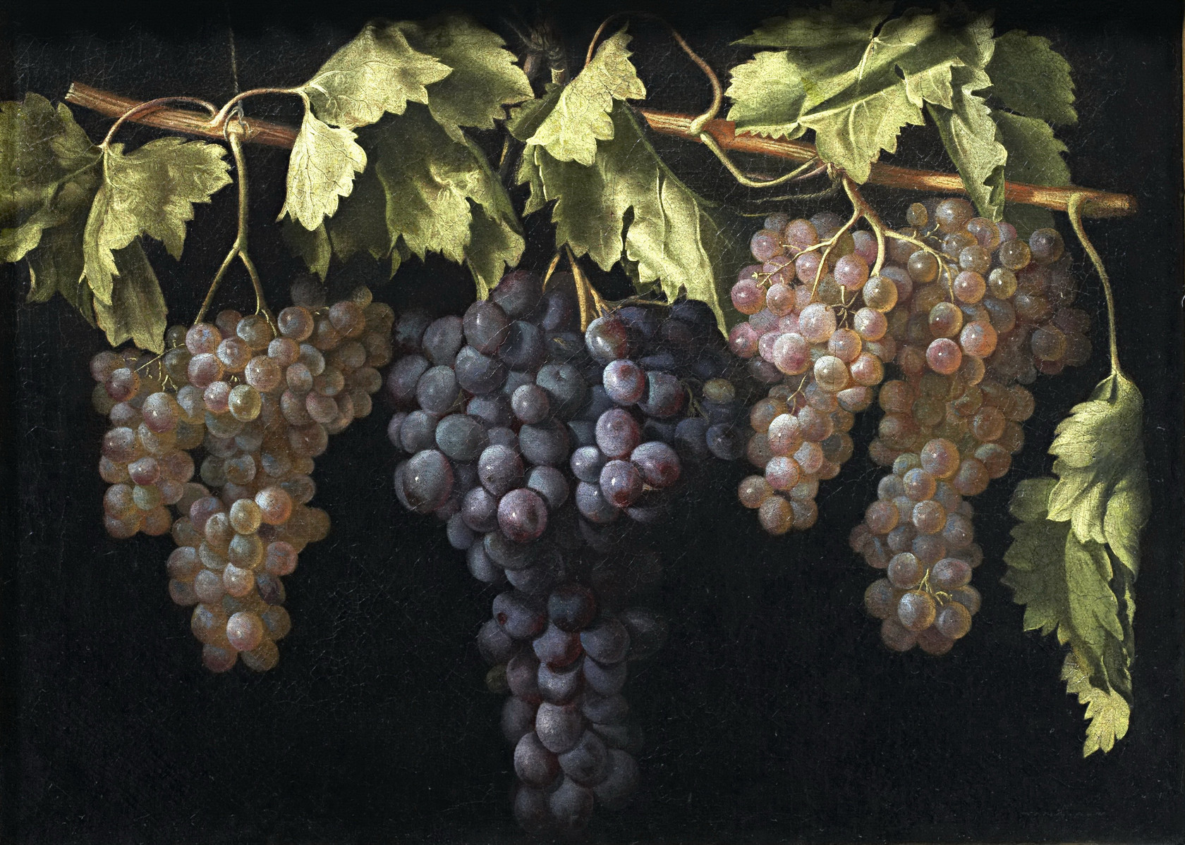 Картина Натюрморт с четырьмя гроздьями винограда - Музей Прадо