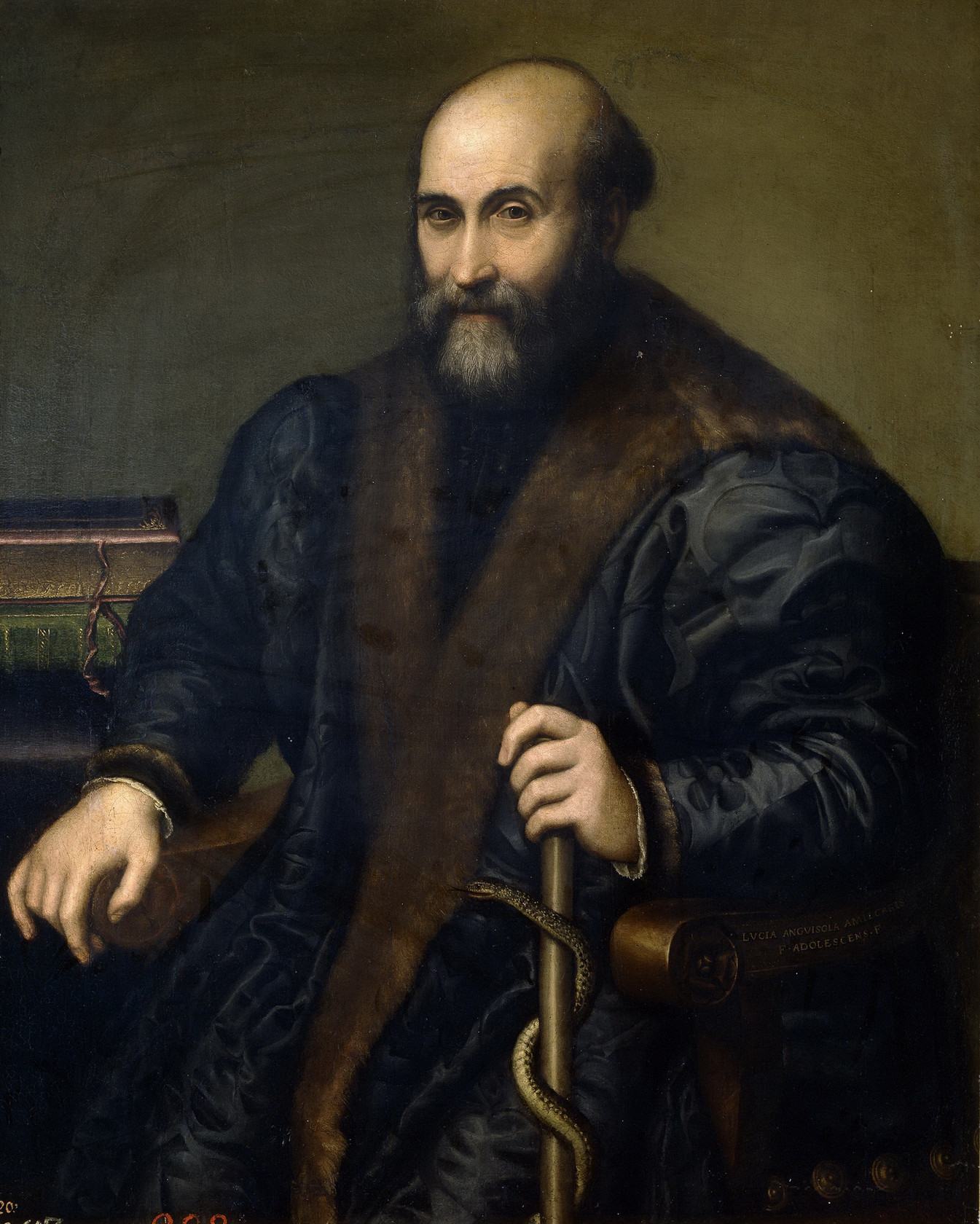Картина Петр Манна, врач из Кремоны, 1557 - Музей Прадо