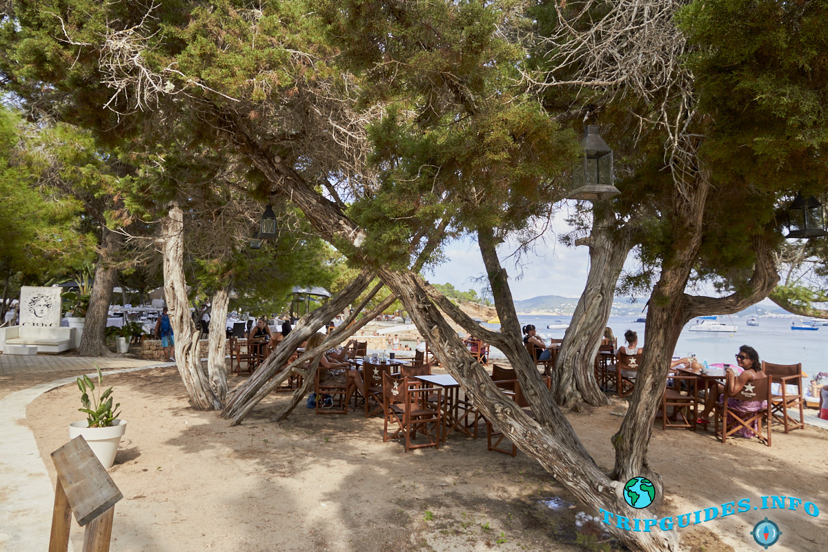 Пляж Кала-Басса на Ибице - Балеарские острова, Испания