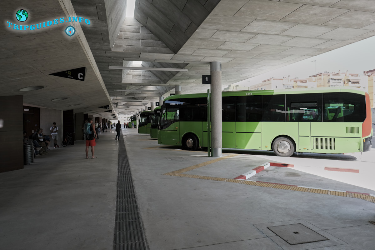 Автовокзал в Пуэрто-де-Ла-Крус автостанция на Тенерифе