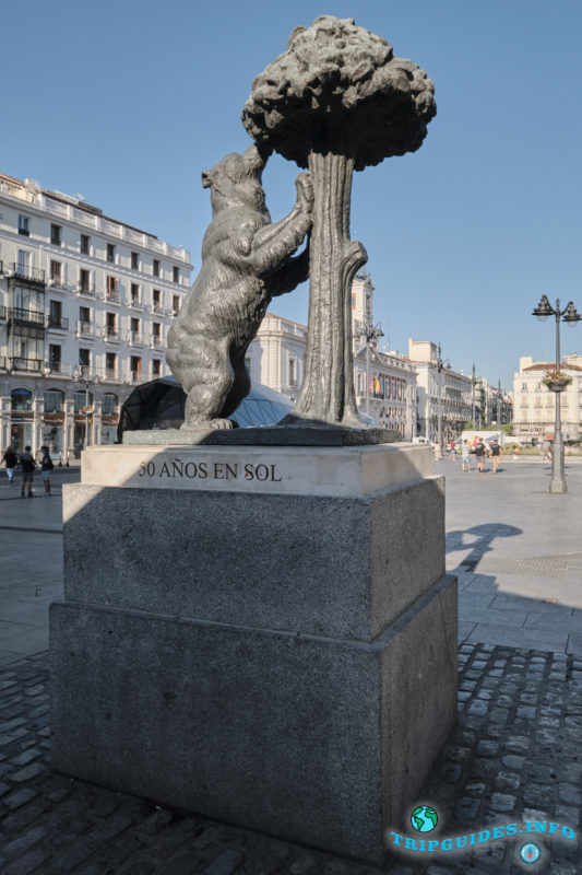 Медведь и земляничное дерево в Мадриде - столица Испании