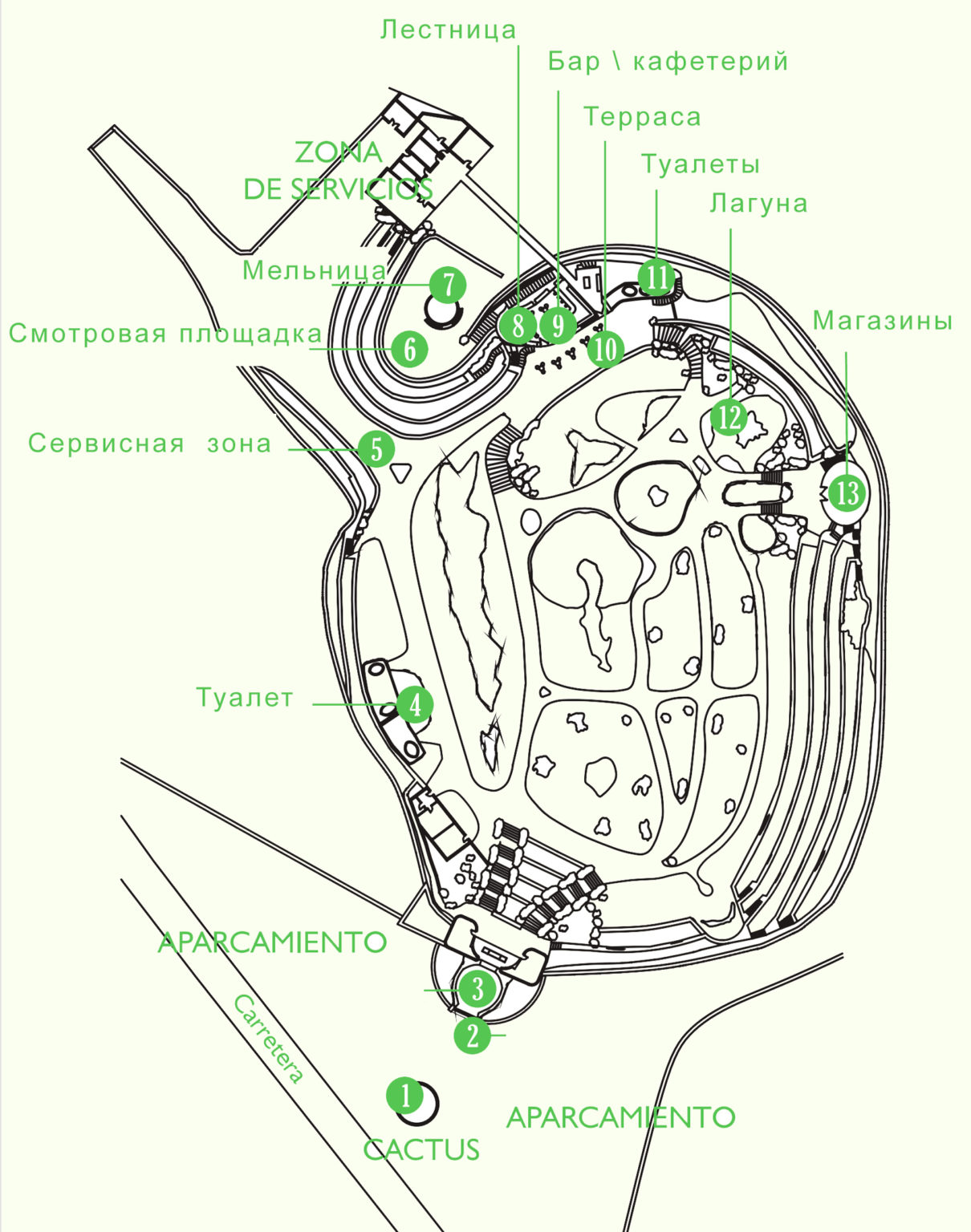 Карта кактус условия