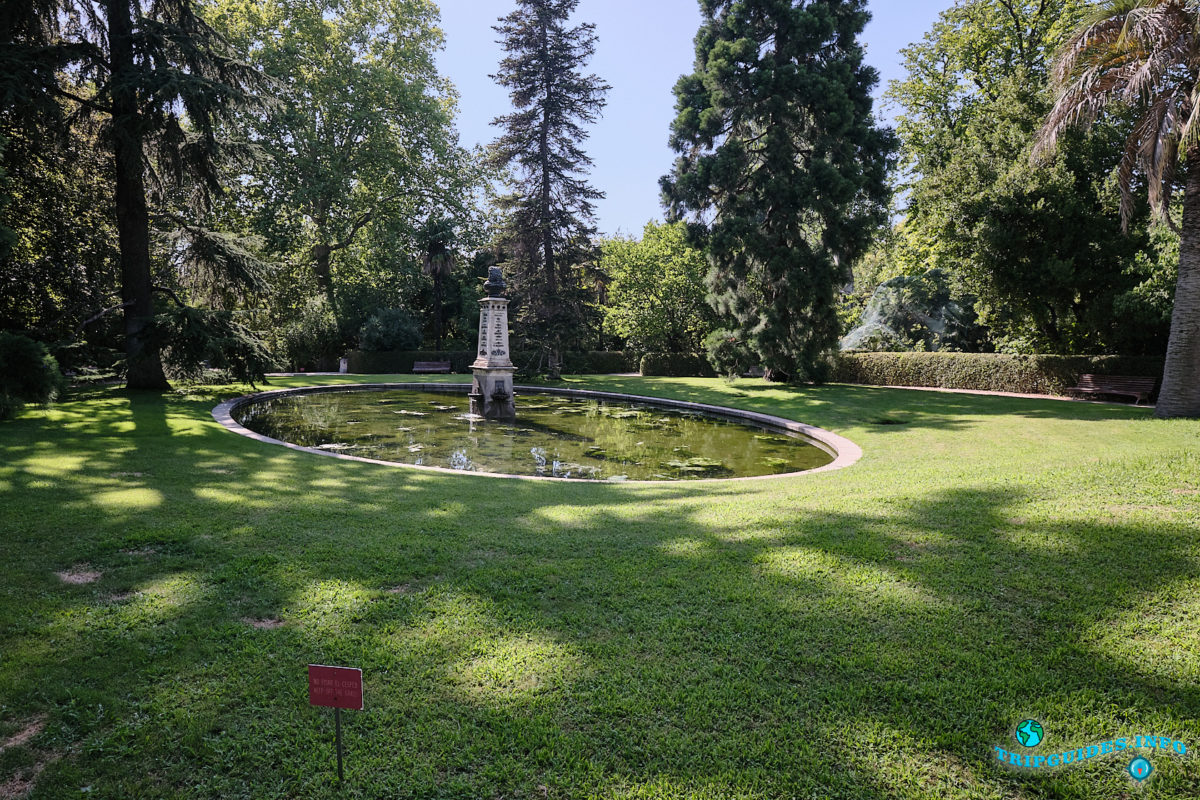 Королевский ботанический сад Мадрида в столице Испании (Real Jardín Botánico de Madrid)