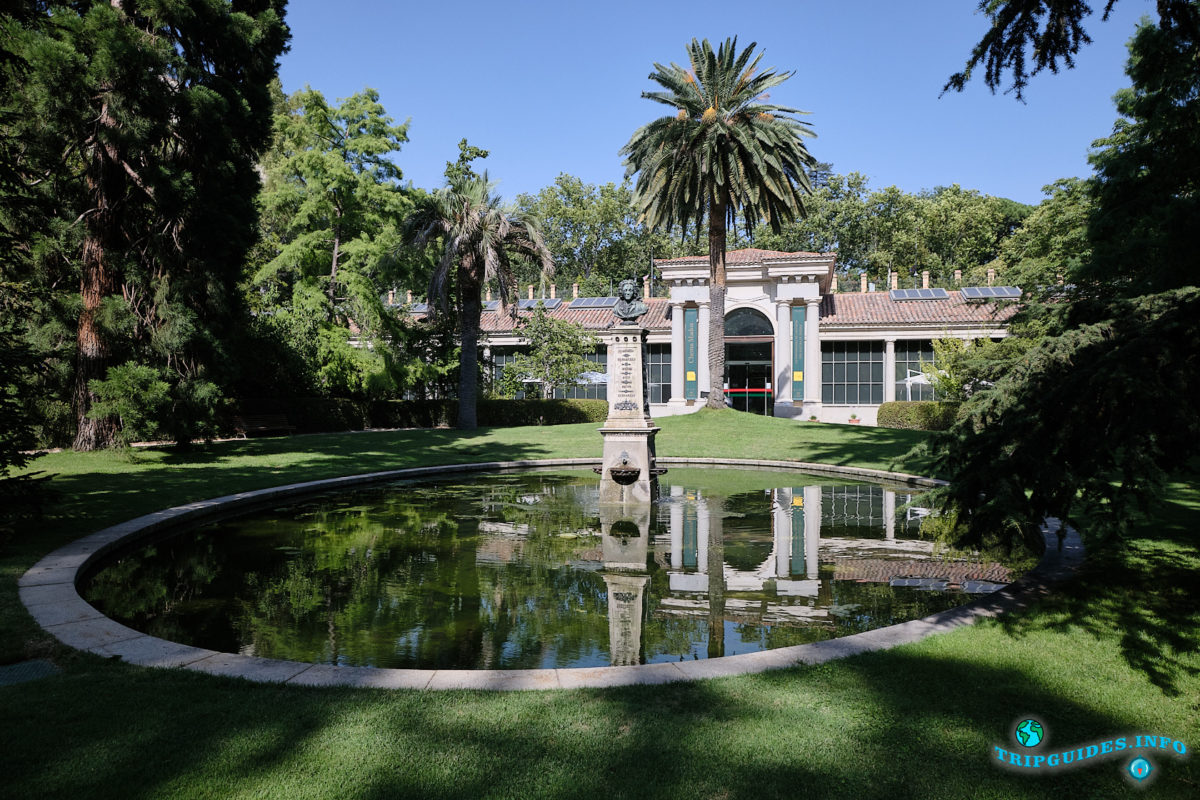 Королевский ботанический сад Мадрида в столице Испании (Real Jardín Botánico de Madrid)