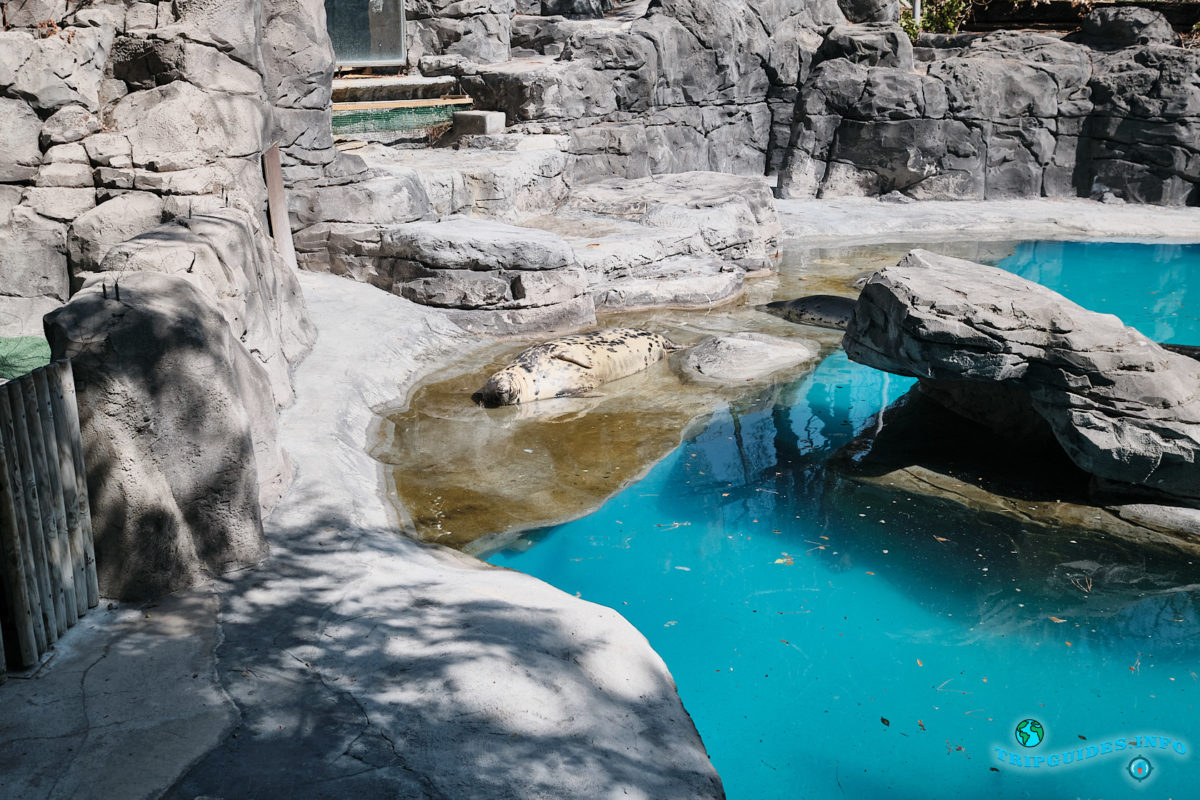 Мадридский зоопарк и аквариум (Zoo Aquarium) в столице Испании - Мадрид