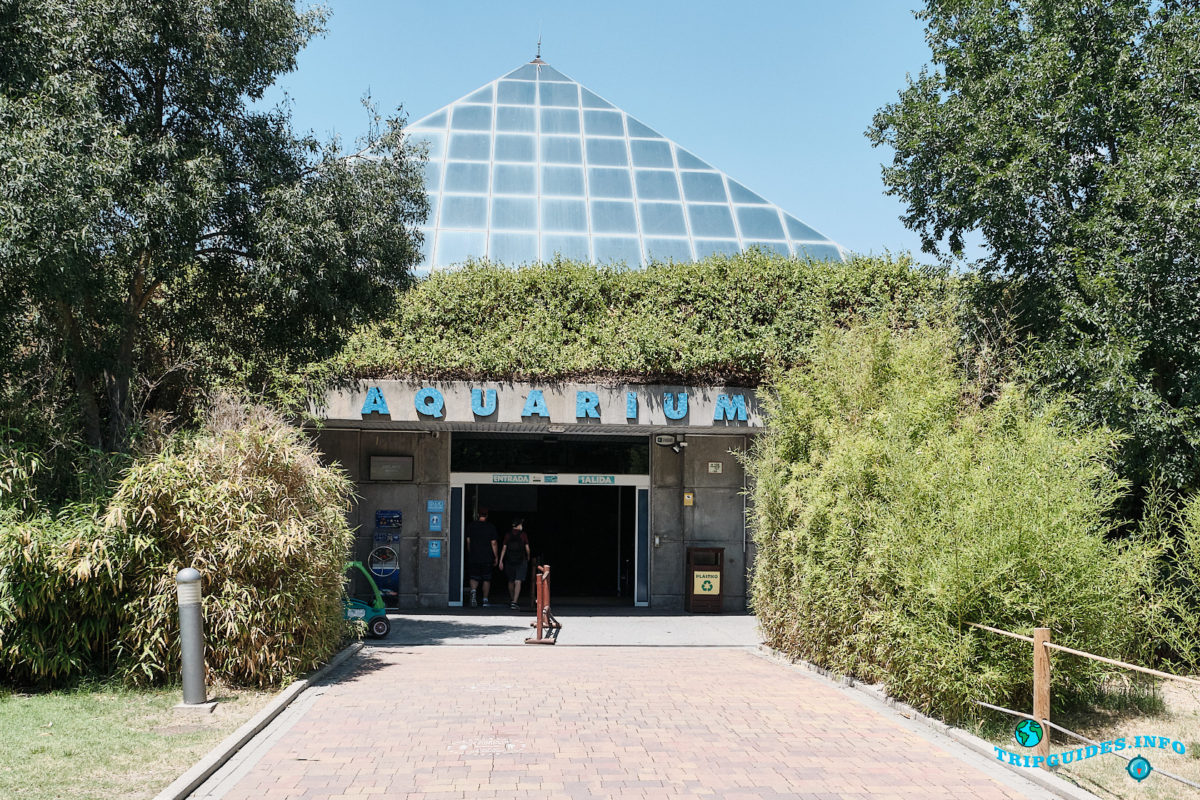Мадридский зоопарк и аквариум (Zoo Aquarium) в столице Испании - Мадрид
