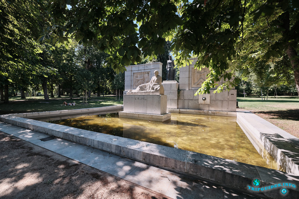 Памятник Сантьяго Рамону-и-Кахалу в парке Буэн-Ретиро в Мадриде - Испания (Parque del Buen Retiro)