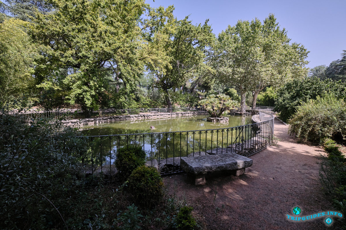 Парк Кампо-дель-Моро в Мадриде - столица Испании - El Campo del Moro
