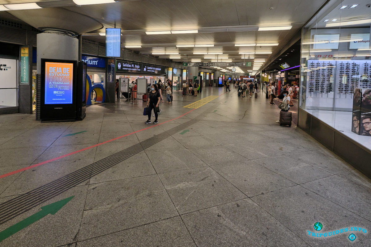 Железнодорожный вокзал - станция Аточа в Мадриде, столице Испании