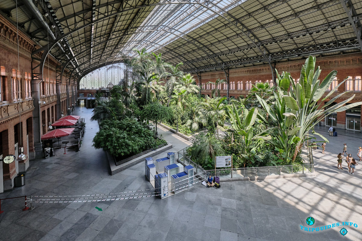 Железнодорожный вокзал - станция Аточа в Мадриде, столице Испании