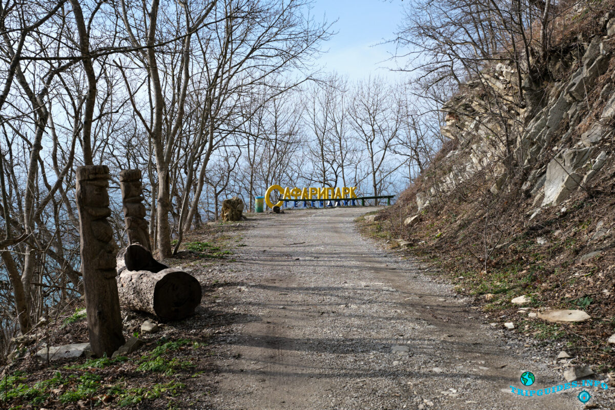 Дорога в 500-летнему грабу - Аллея сказок в Верхнем парке Сафари-парка Геленджик