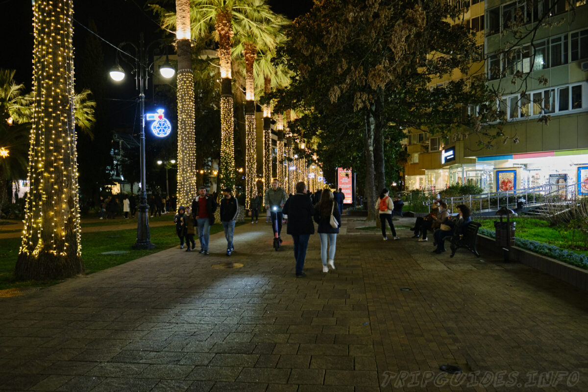 Навагинская улица в Новый год - город Сочи - Россия