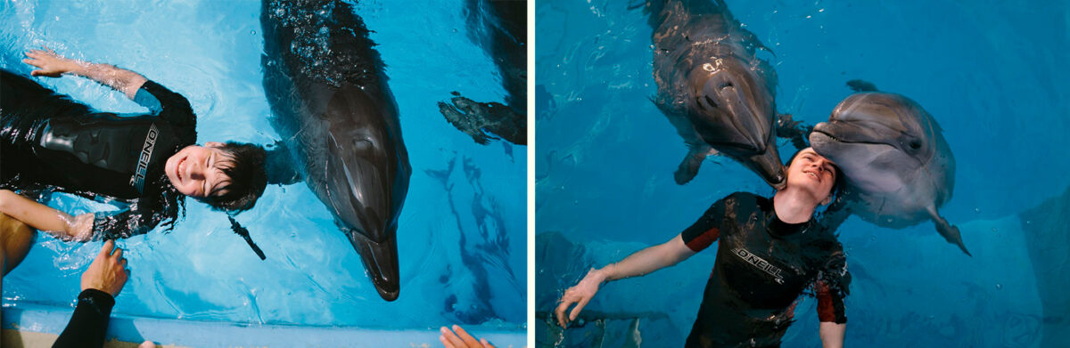 Дельфинотерапия - Дельфинарий «Немо» в Анапе