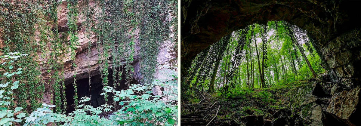 Воронцовская пещера - Сочи