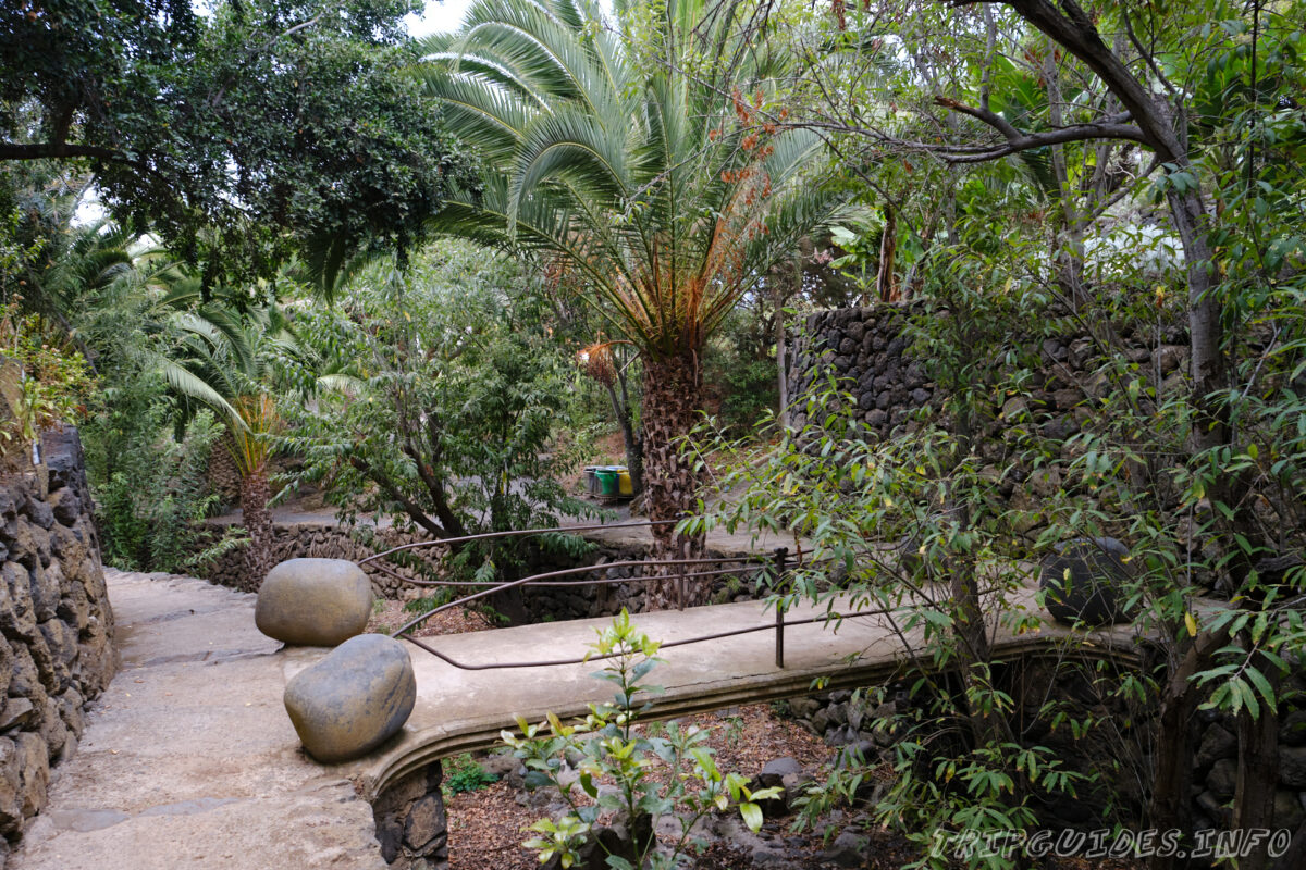 Парк Драго и Драконовое дерево в Икод-де-Лос-Винос на Тенерифе