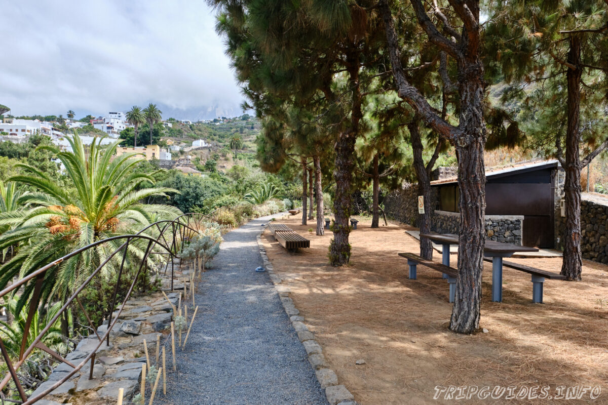 Парк Драго и Драконовое дерево в Икод-де-Лос-Винос на Тенерифе