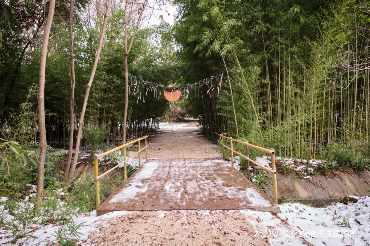 «Южные культуры» - дендрологический парк в Адлерском районе города Сочи