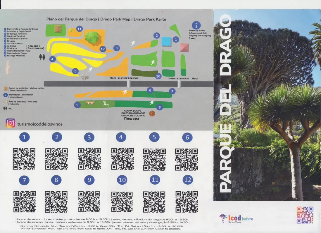 Карта Драго Миленарио - Парк Драконово дерево в Икод-де-Лос-Винос