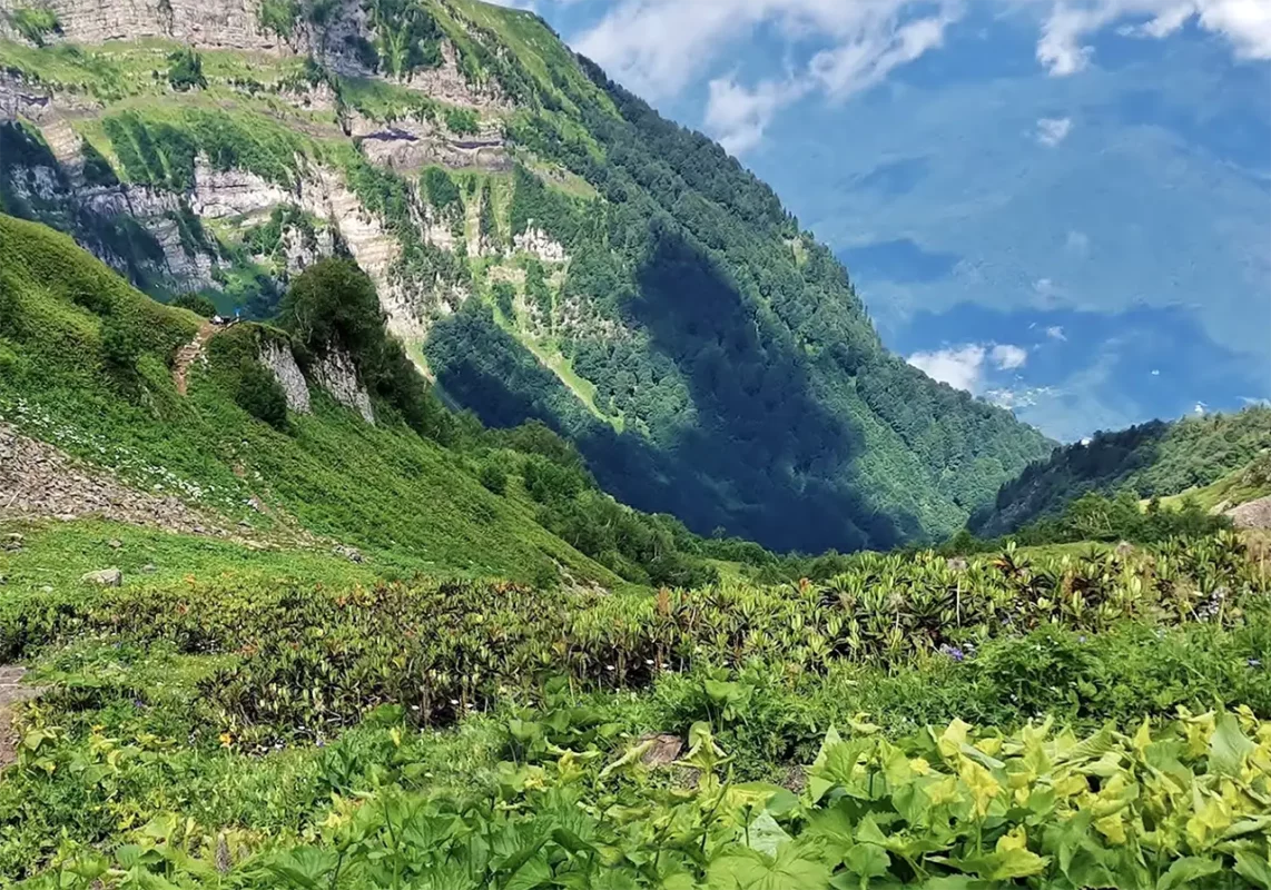 «Альпийские луга» - Эко-тропа Красная поляна (Сочи)