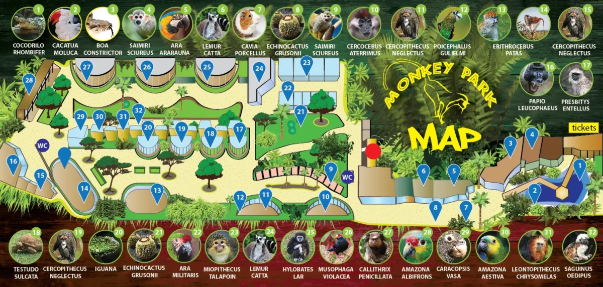 Карта - Парк Обезьян (Monkey park) на Тенерифе