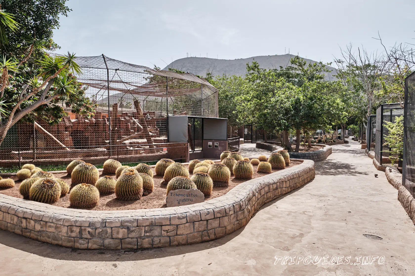 Парк Обезьян (Monkey park) на Тенерифе - сад кактусов