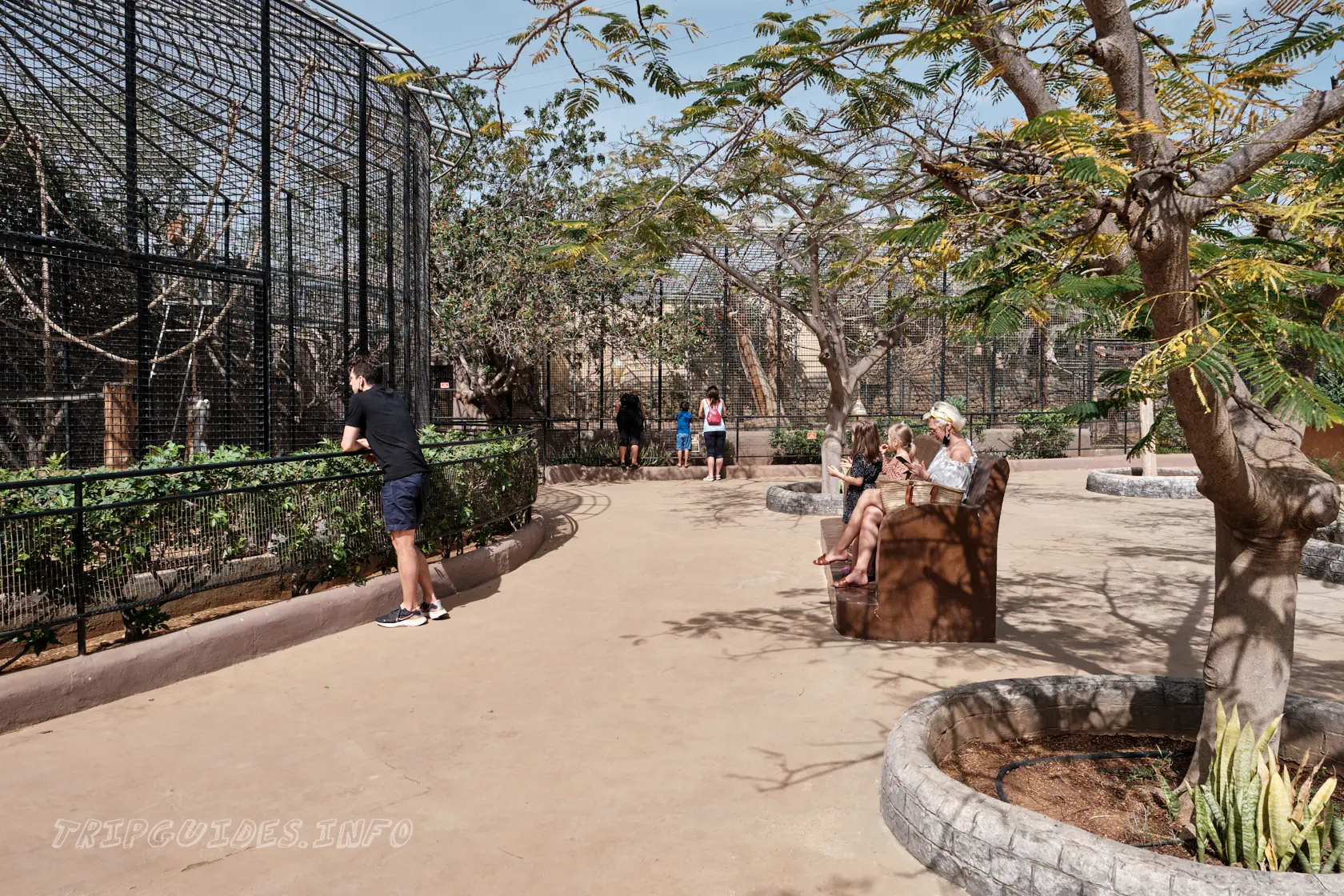 Парк Обезьян (Monkey park) на Тенерифе - вольеры с животными