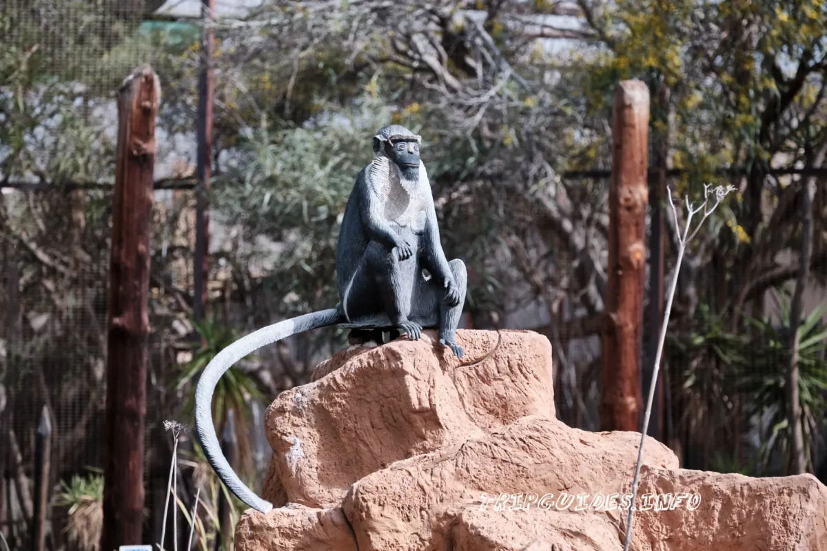 Парк Обезьян (Monkey park) на Тенерифе