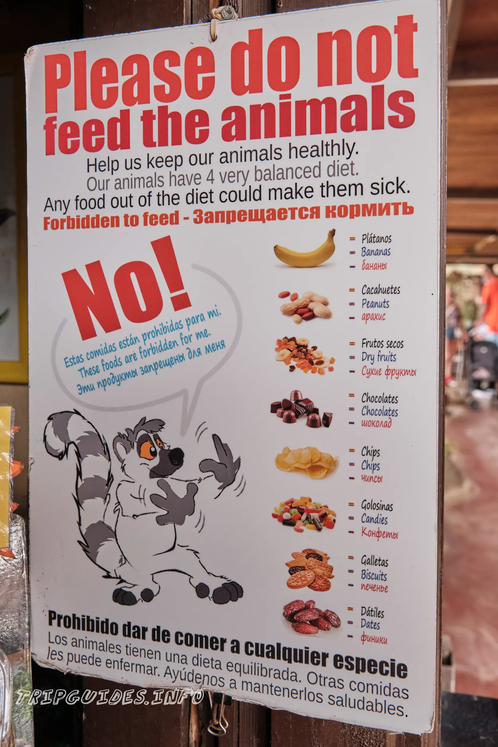 Чем нельзя кормить животных в Парке Обезьян на Тенерифе