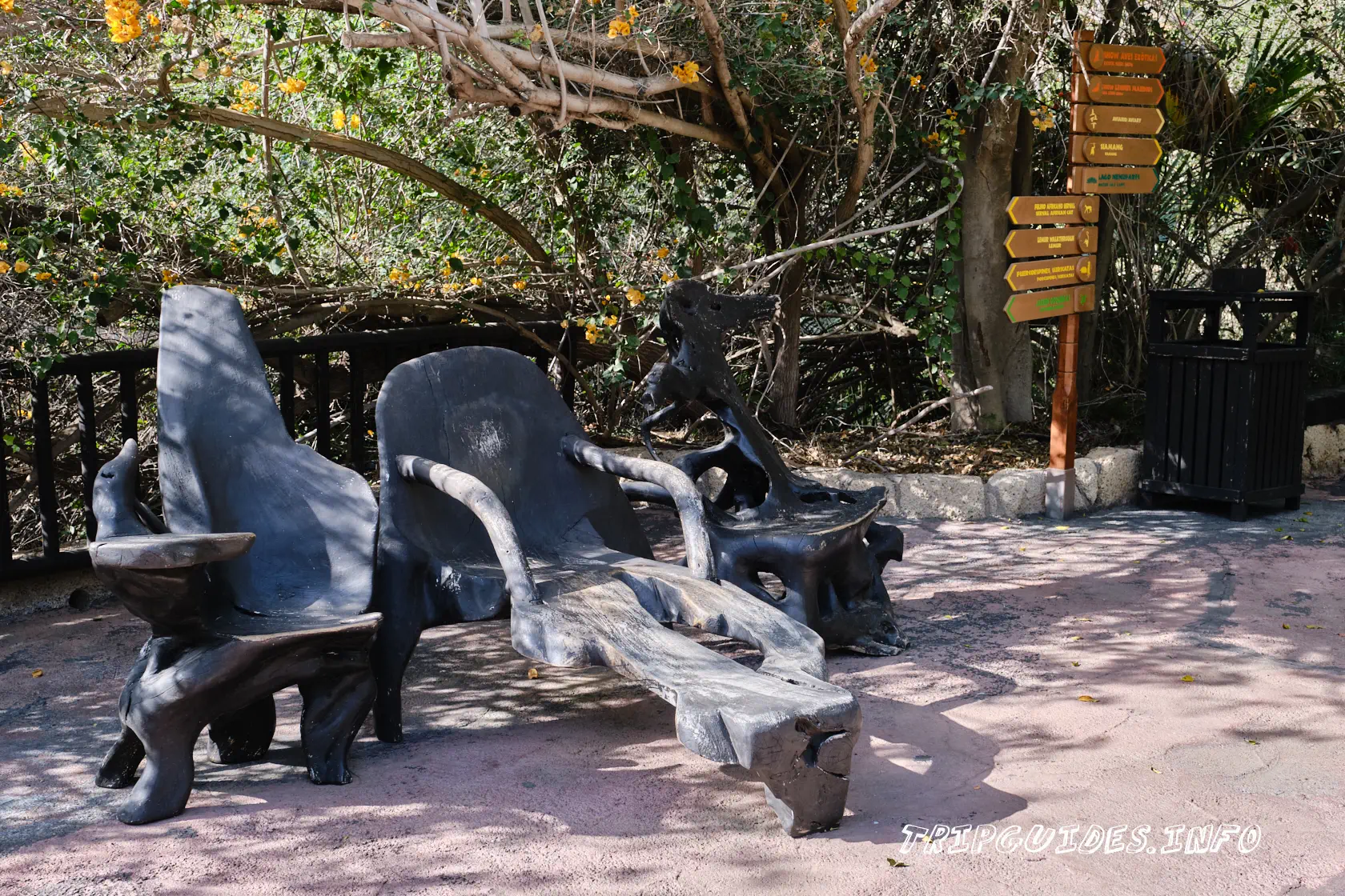 Парк Орлов (Jungle park) на Тенерифе - территория