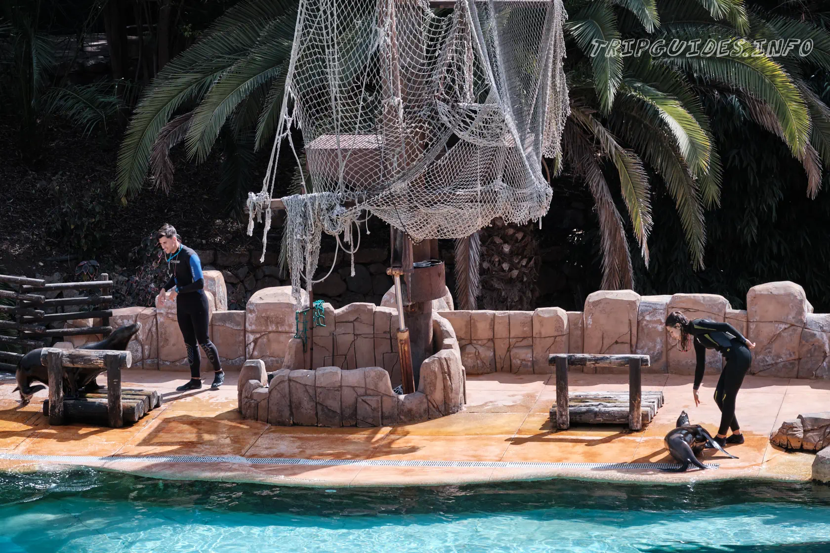 Парк Орлов (Jungle park) на Тенерифе - Шоу с морскими львами